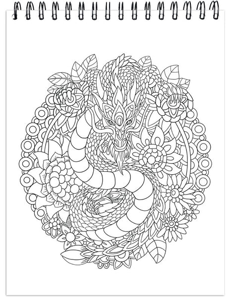 Awesome Dragon Coloring Book: Fun Colouring Books for Relaxation and Stress Relief. Cool Mandala Patterns Gift for Adults, Men, Women, Kids, Grown Ups [Book]